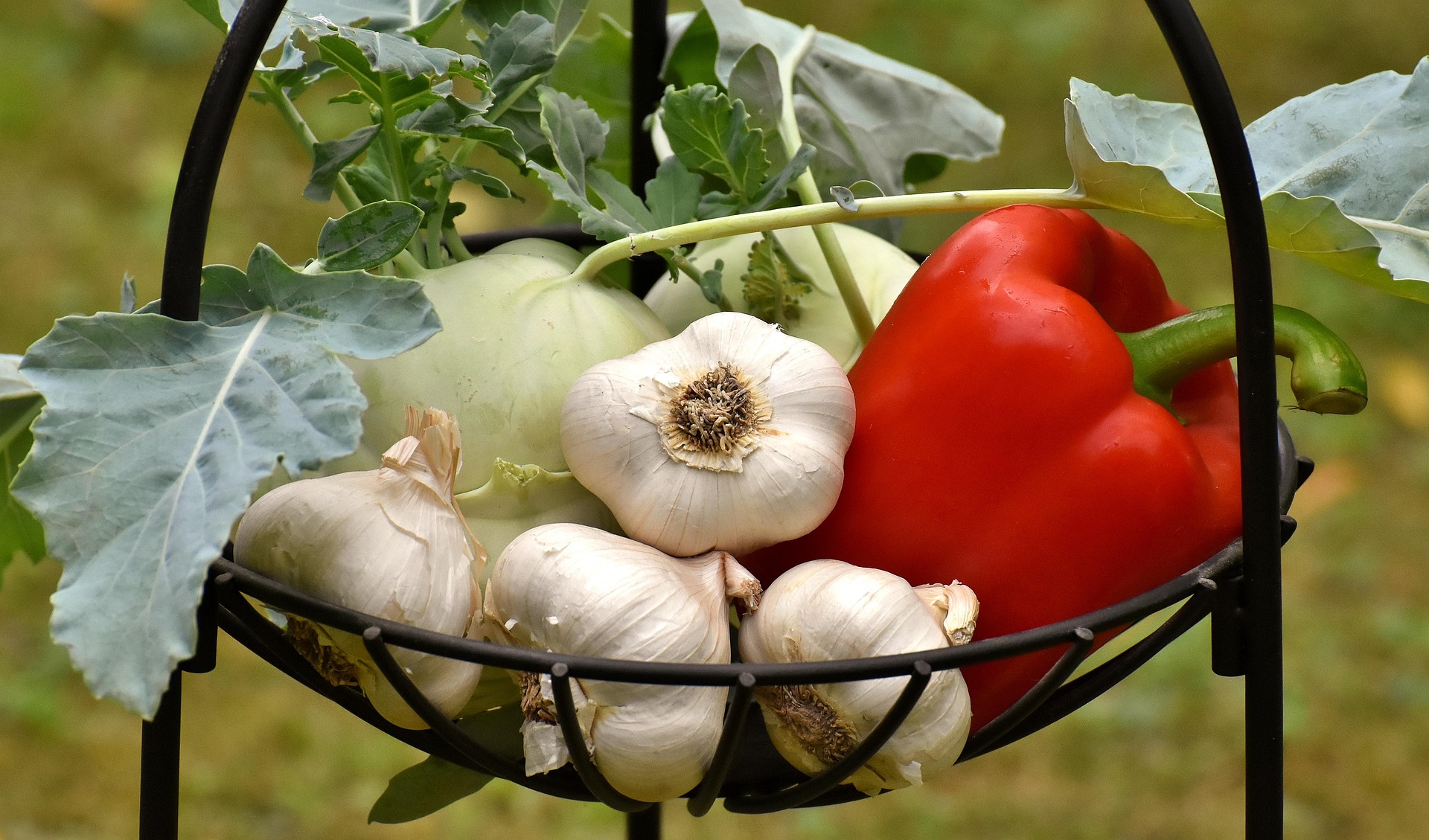 Farm preparation