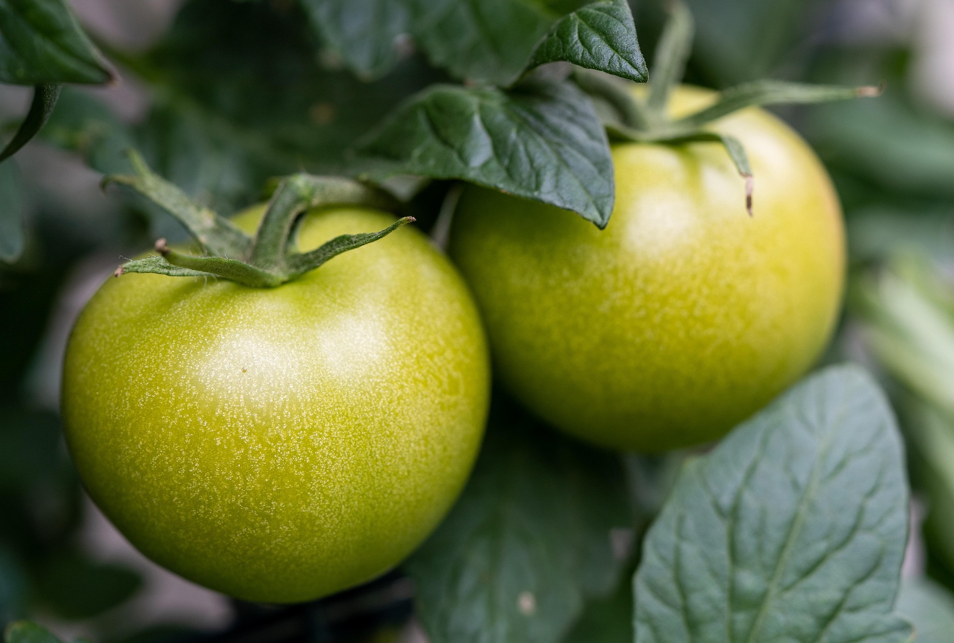 Sustainable farming